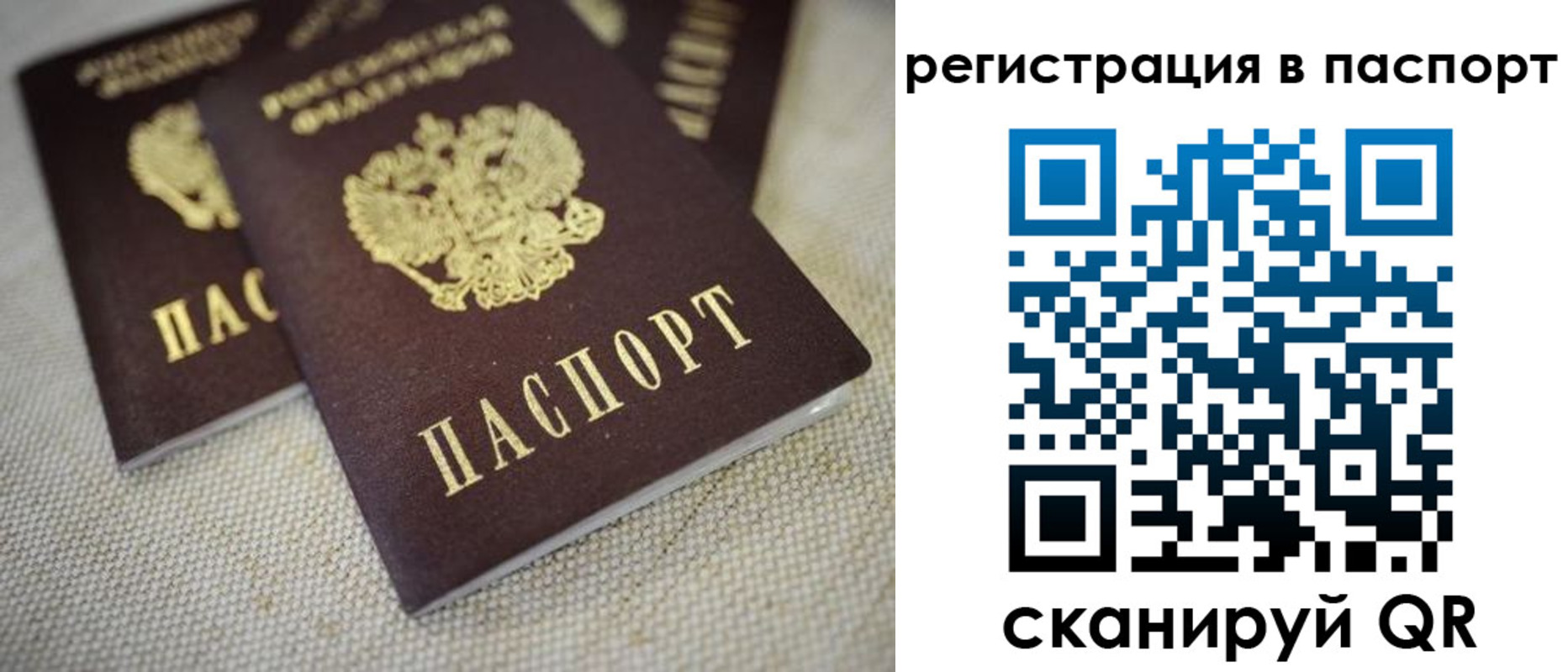 прописка гарантия в Пскове